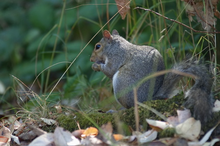 2025-08-10 12-30-23 BUTL8560