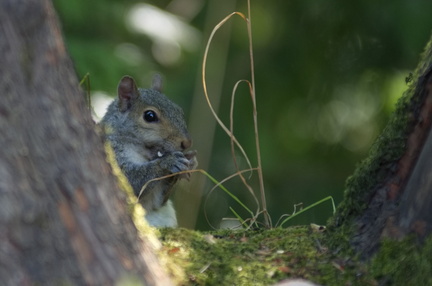 2025-08-10 12-30-53 BUTL8563