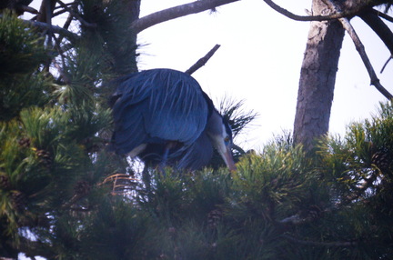 2016-04-17 16-28-41 - BUTL2515