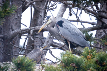 2016-05-22 12-27-37 - BUTL3237