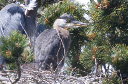 2016-05-22 14-19-56 - BUTL3264