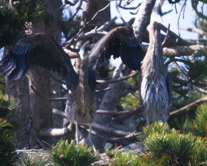 2016-05-30 16-09-22 - BUTL3322