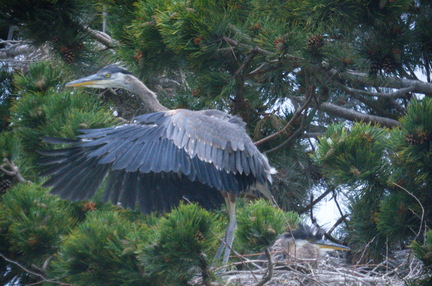 2016-06-08 12-46-19 - BUTL3435